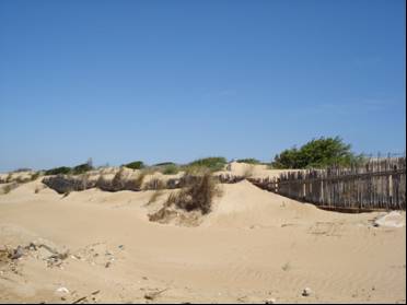 S.M.del Focallo-dune