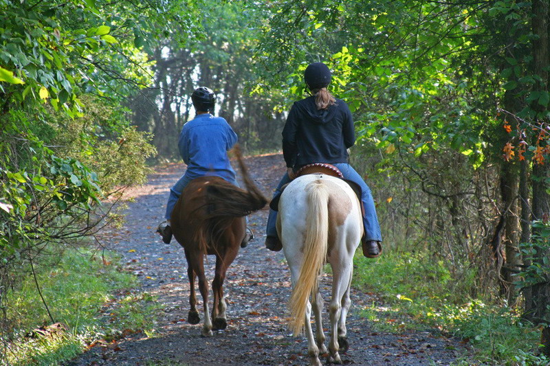 Turismo equestre