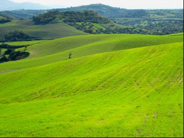 paesaggio ibleo