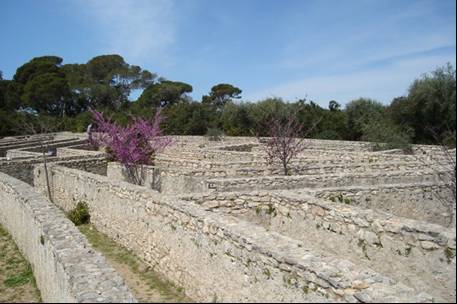 il labirinto