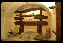 museo dell�olio