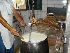 affioramento ricotta