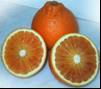 arancio tarocco nucellare